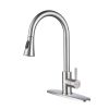 Kitchen Faucet with Pull Out Spraye