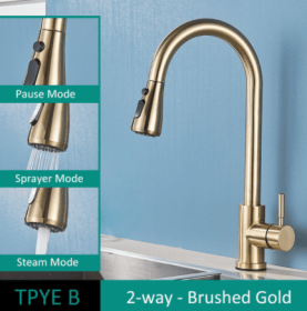 304 Stainless Steel Kitchen Pull-out Faucet (Option: Brushed Gold-TPYE B)