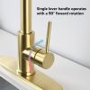 Stainless Steel Pull Down Kitchen Faucet with Soap Dispenser